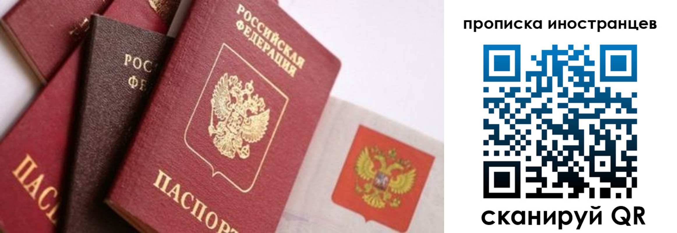 регистрация для школы в Светлогорске